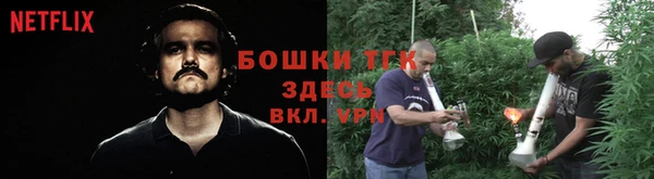 бошки Верхний Тагил